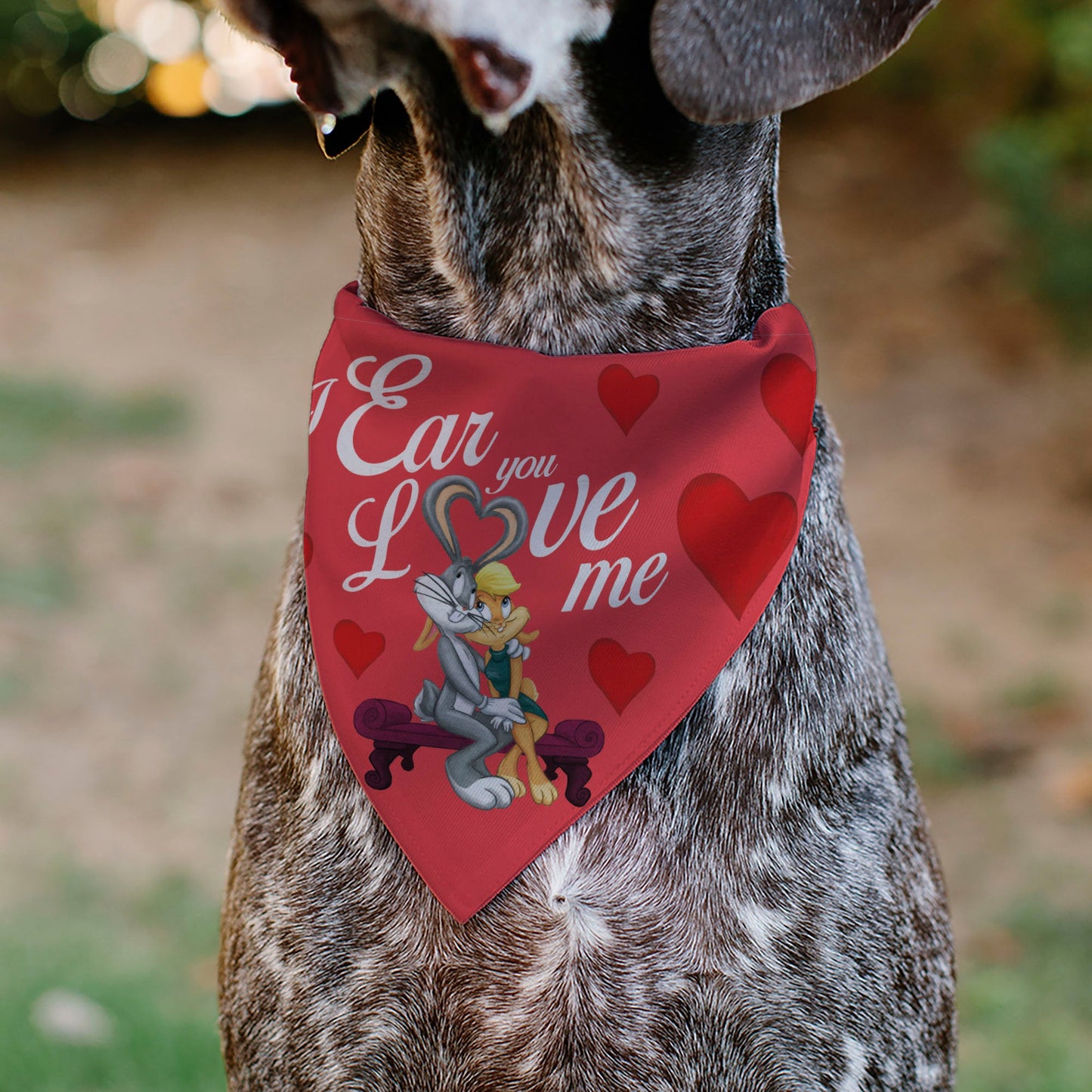 Pet Bandana - Bugs Bunny and Lola Bunny I EAR YOU LOVE ME Pose Hearts and Title Logo Reds