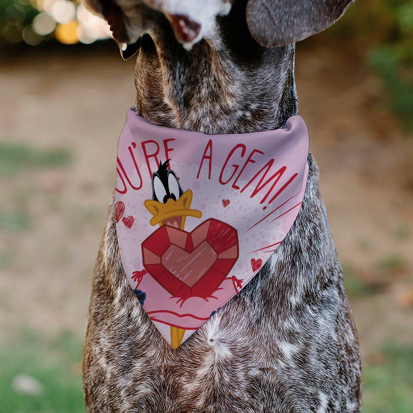 Pet Bandana - Daffy Duck YOU'RE A GEM Heart Pose and Title Logo Pink