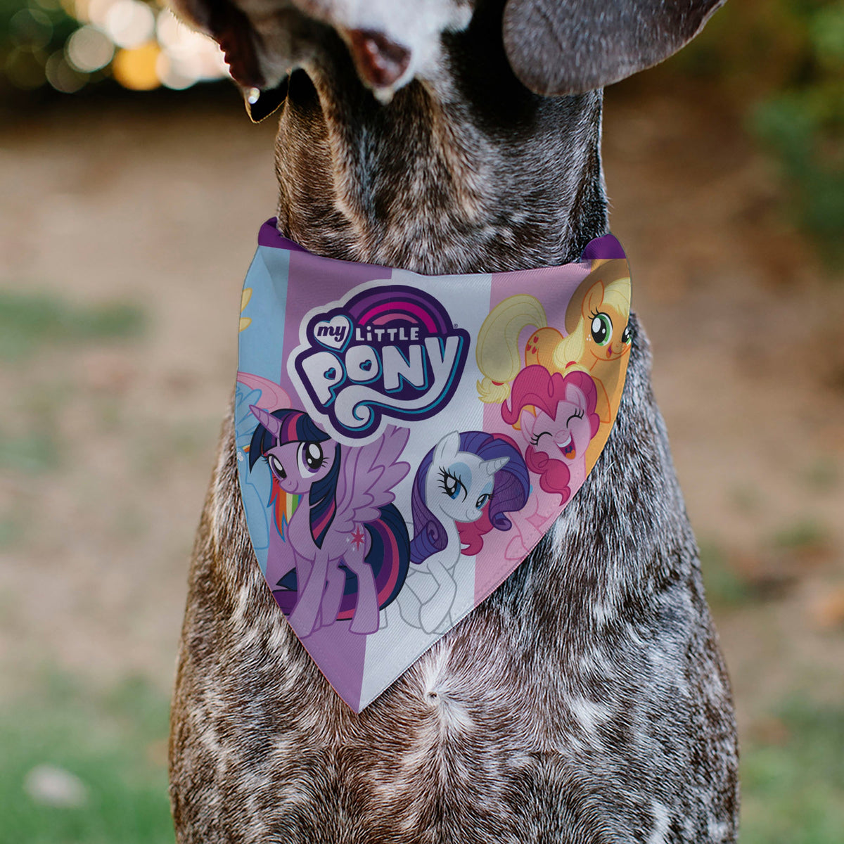 Pet Bandana - MY LITTLE PONY Mane Six Pony Poses and Title Logo Multi Color