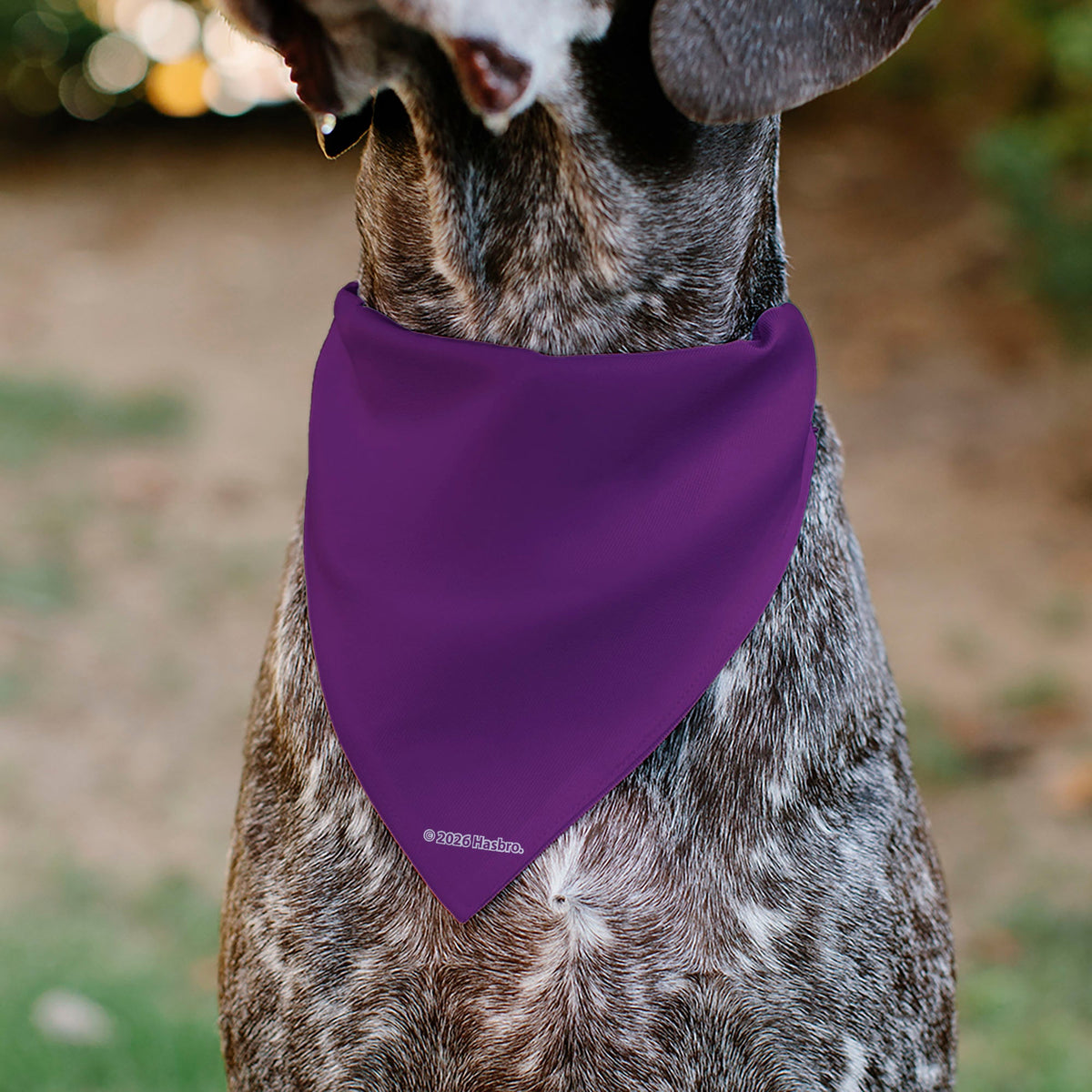 Pet Bandana - MY LITTLE PONY Mane Six Pony Poses and Title Logo Multi Color