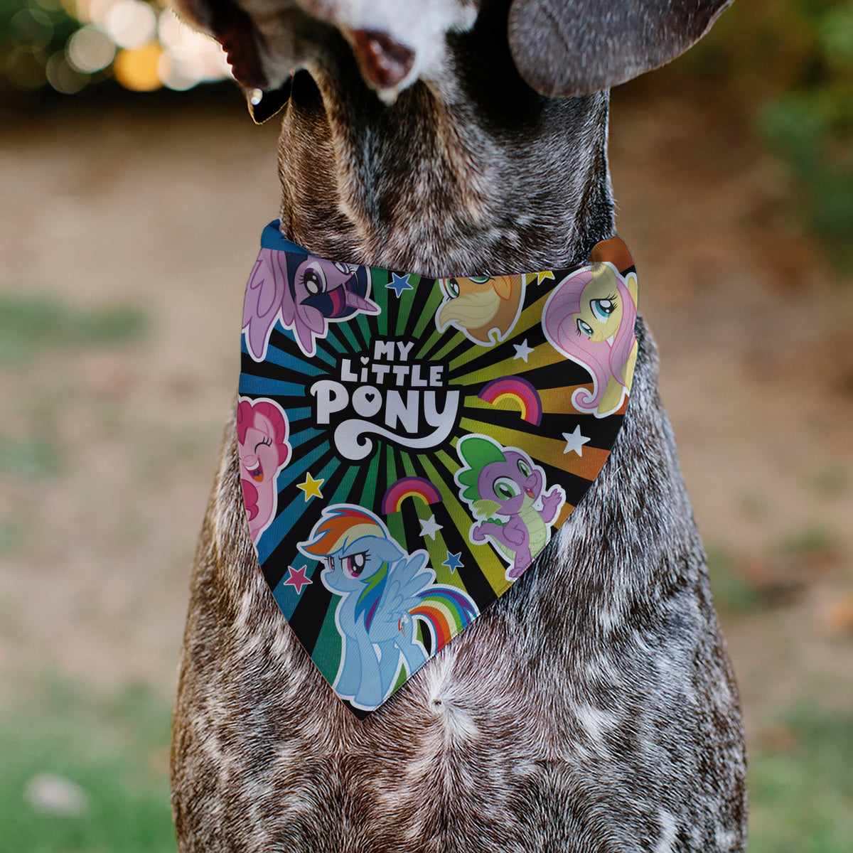 Pet Bandana - MY LITTLE PONY Mane Six and Spike Sunburst Black/Multi Color