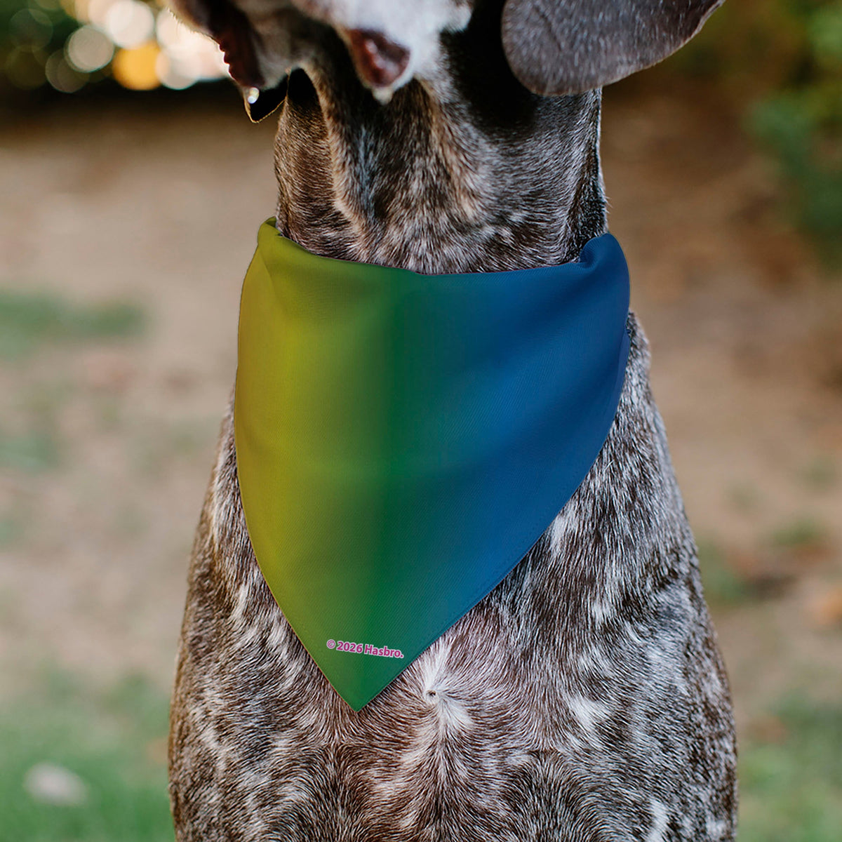 Pet Bandana - MY LITTLE PONY Mane Six and Spike Sunburst Black/Multi Color