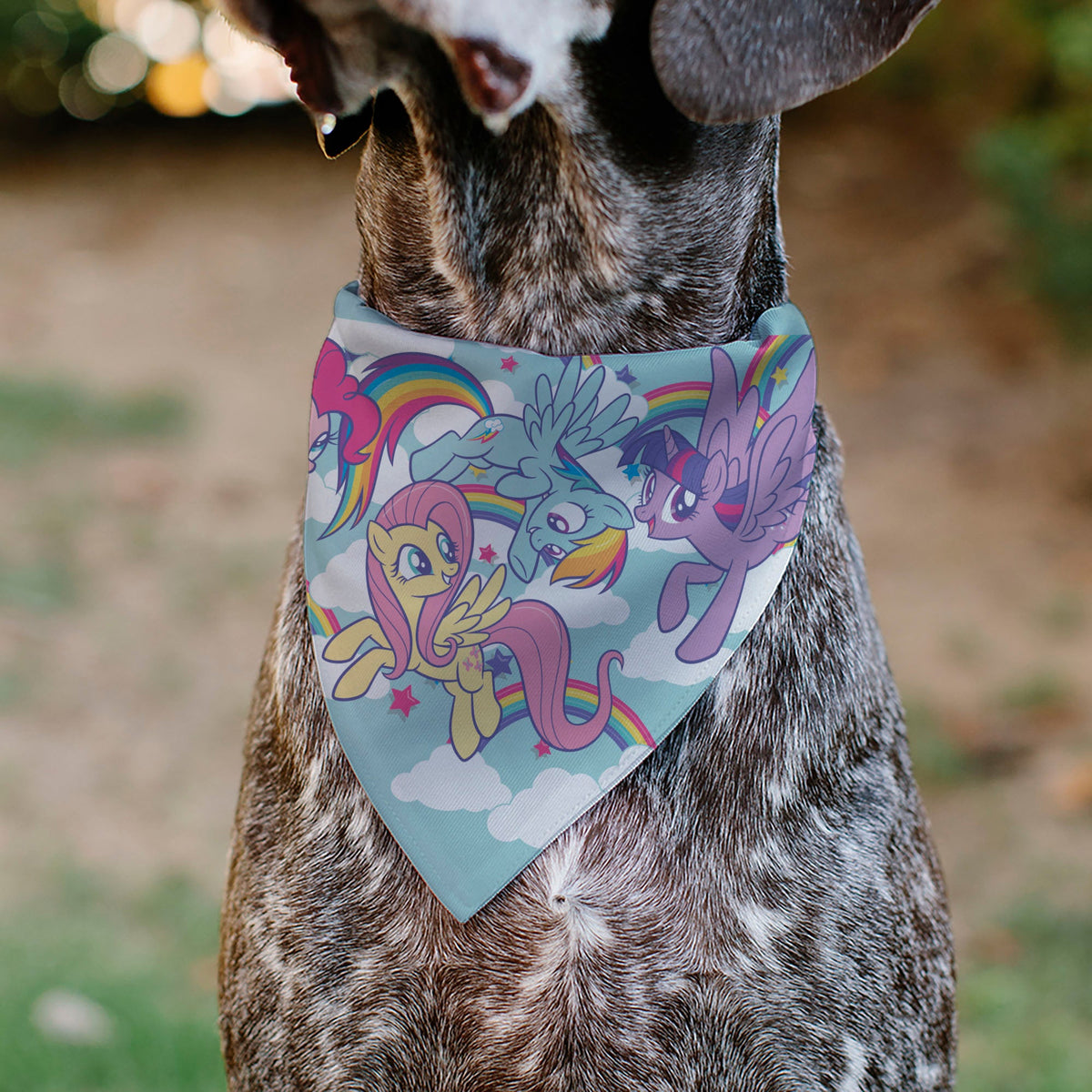 Pet Bandana - My Little Pony Four Ponies and Rainbows Multi Pastel