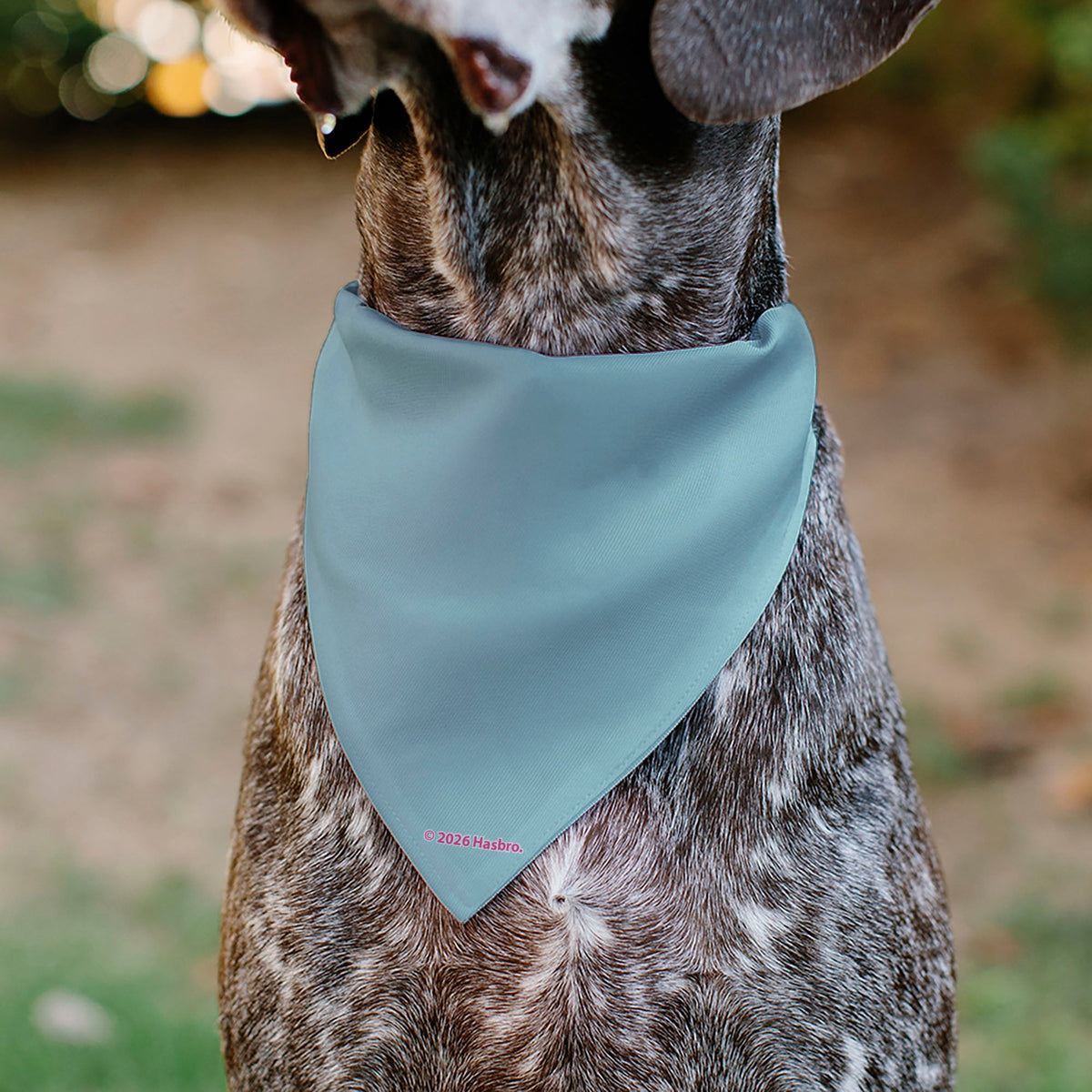 Pet Bandana - My Little Pony Four Ponies and Rainbows Multi Pastel