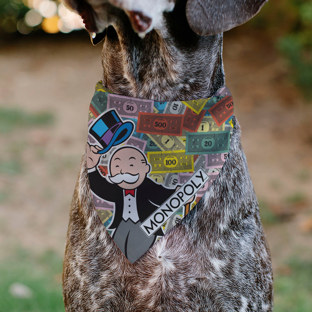 Pet Bandana - Mr. Monopoly Poses Play Money Stacked Multi Color