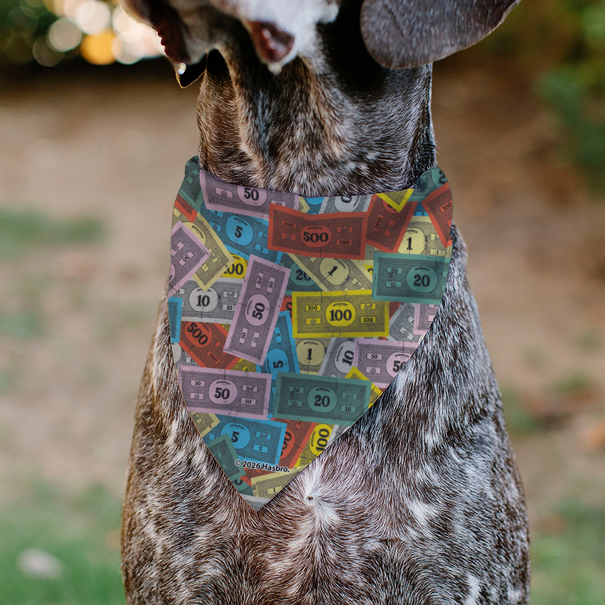 Pet Bandana - Mr. Monopoly Poses Play Money Stacked Multi Color