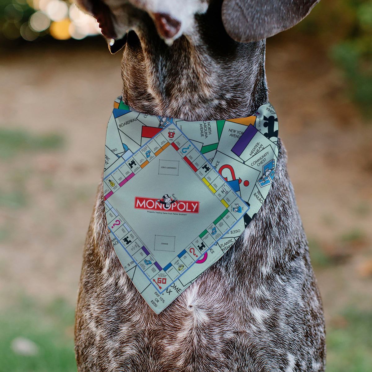 Pet Bandana - Monopoly Game Board and Space Icons Stacked