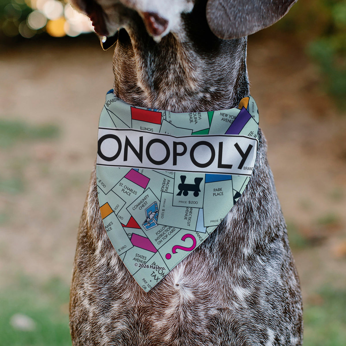 Pet Bandana - Monopoly Game Board and Space Icons Stacked