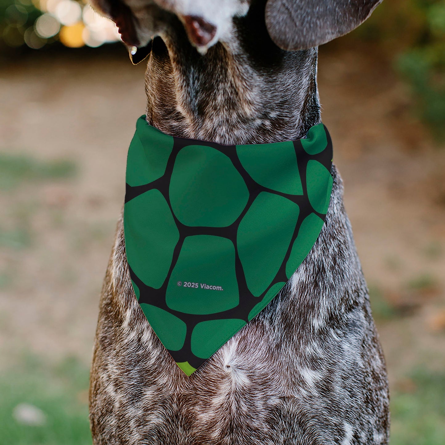 Pet Bandana - Ninja Turtles Donatello Face and Turtle Shell Character Close-Up Green