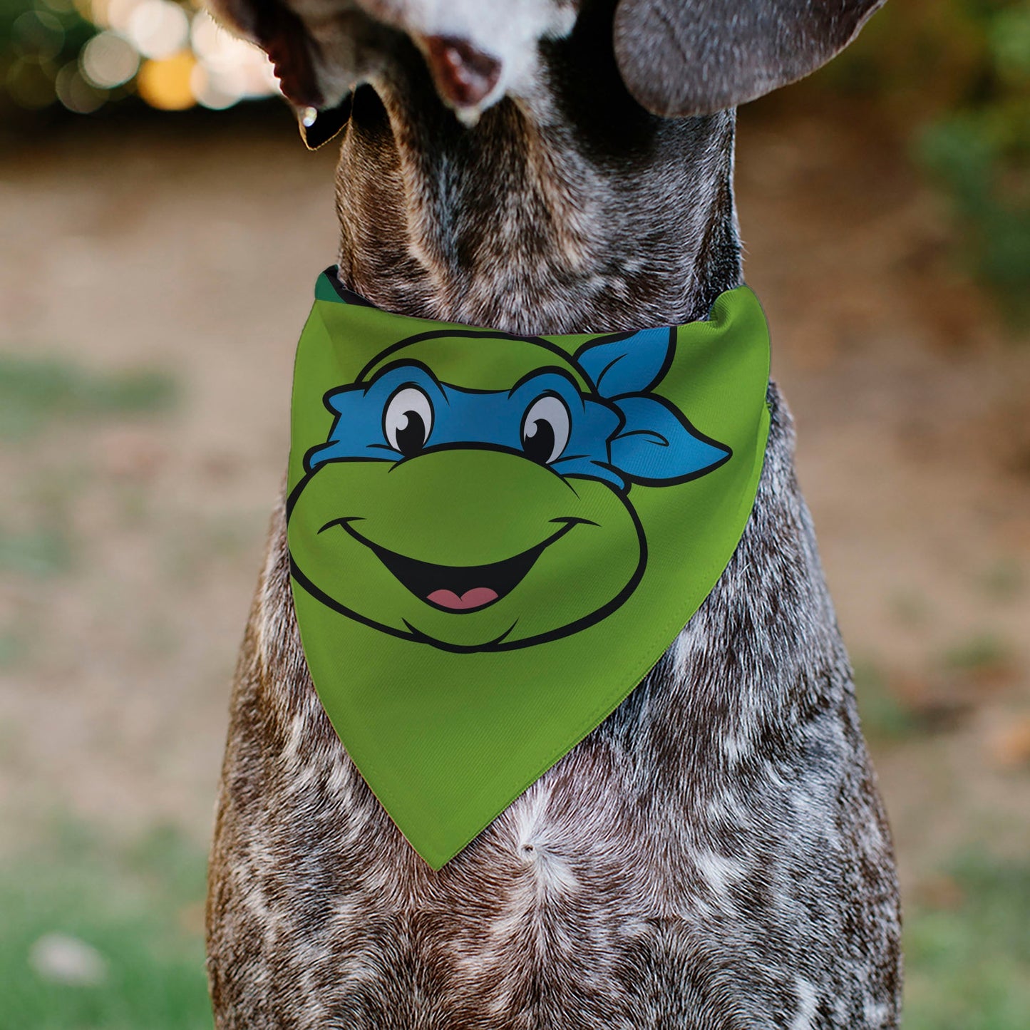 Pet Bandana - Ninja Turtles Leonardo Face and Turtle Shell Character Close-Up Green