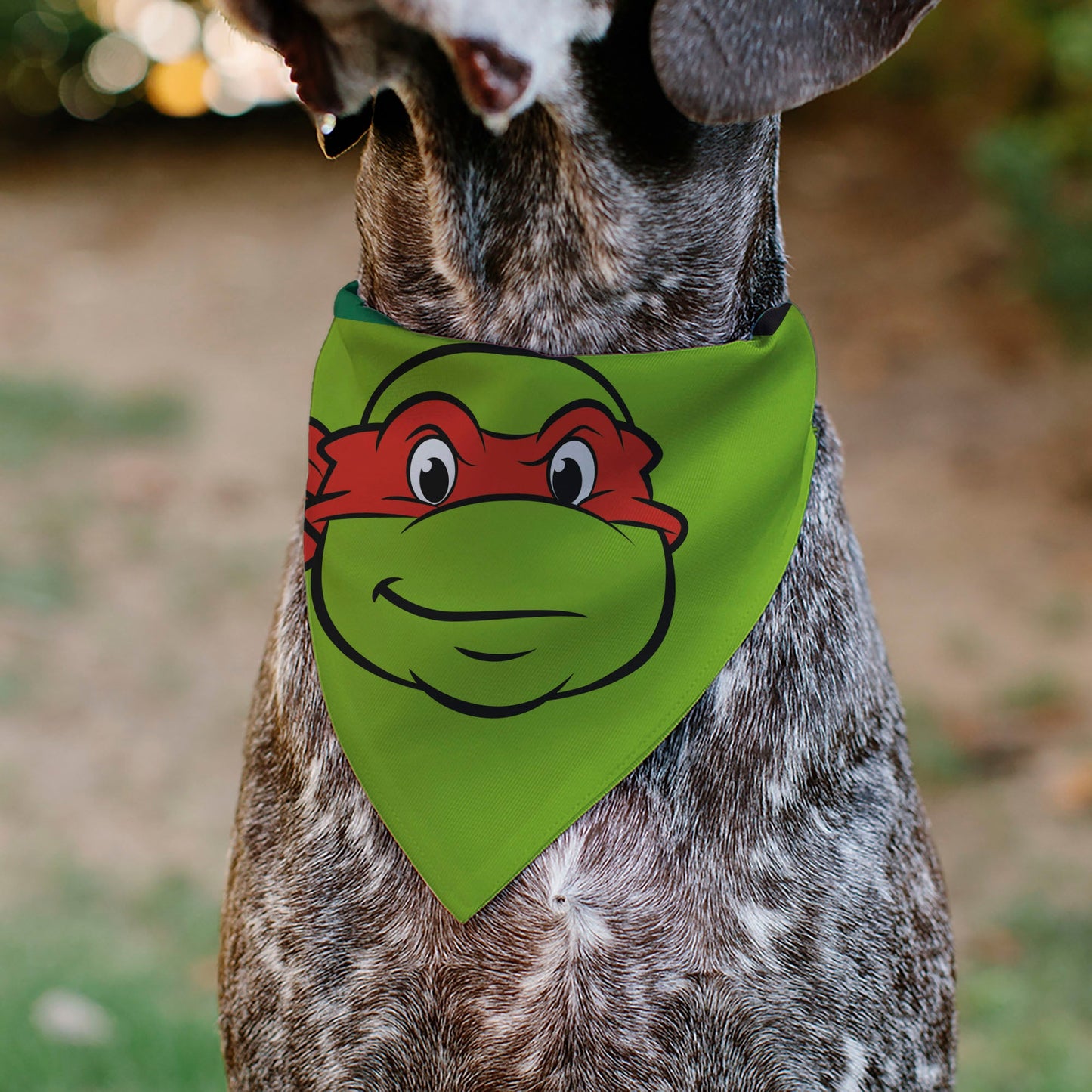 Pet Bandana - Ninja Turtles Raphael Face and Turtle Shell Character Close-Up Green
