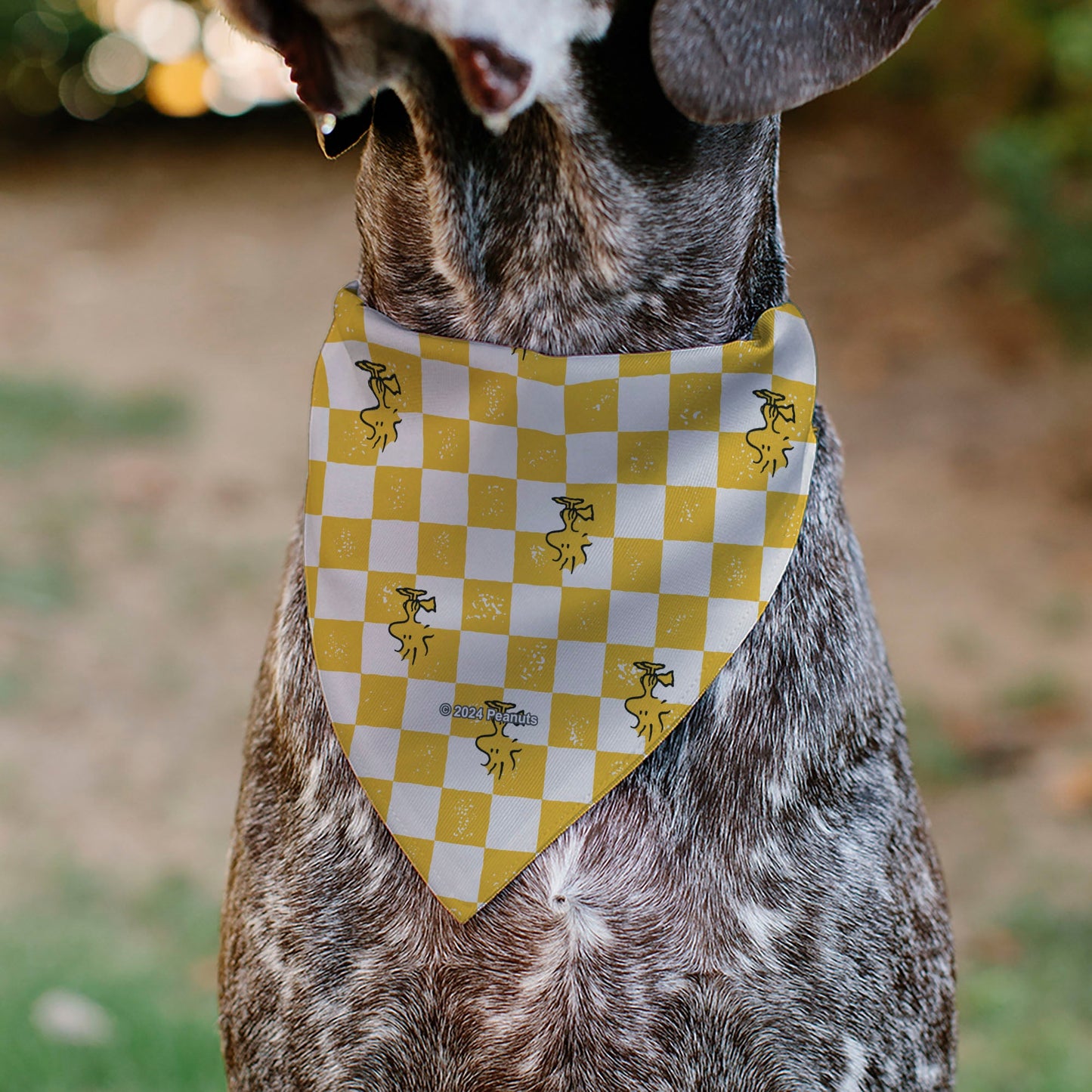 Pet Bandana - Peanuts Woodstock Pose Checker Yellow/White