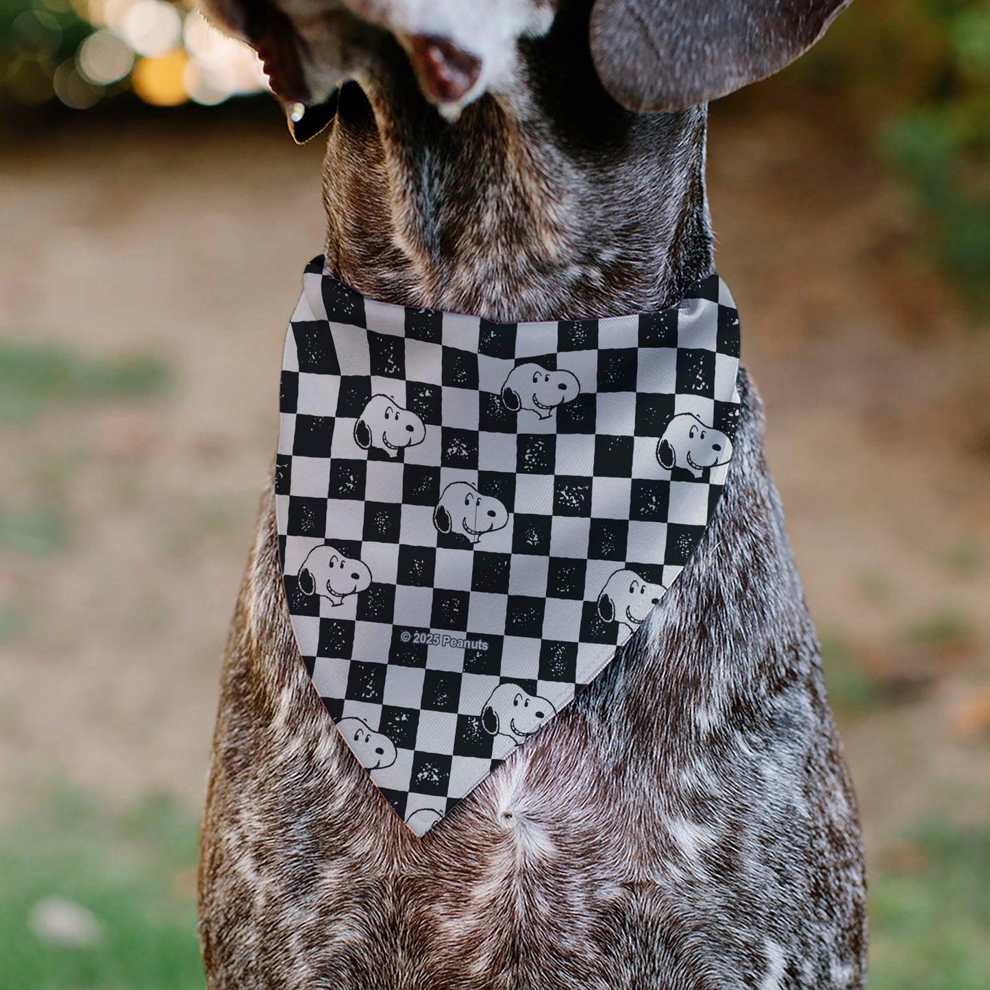 Pet Bandana - Peanuts Snoopy Smiling Face Checker Black/White