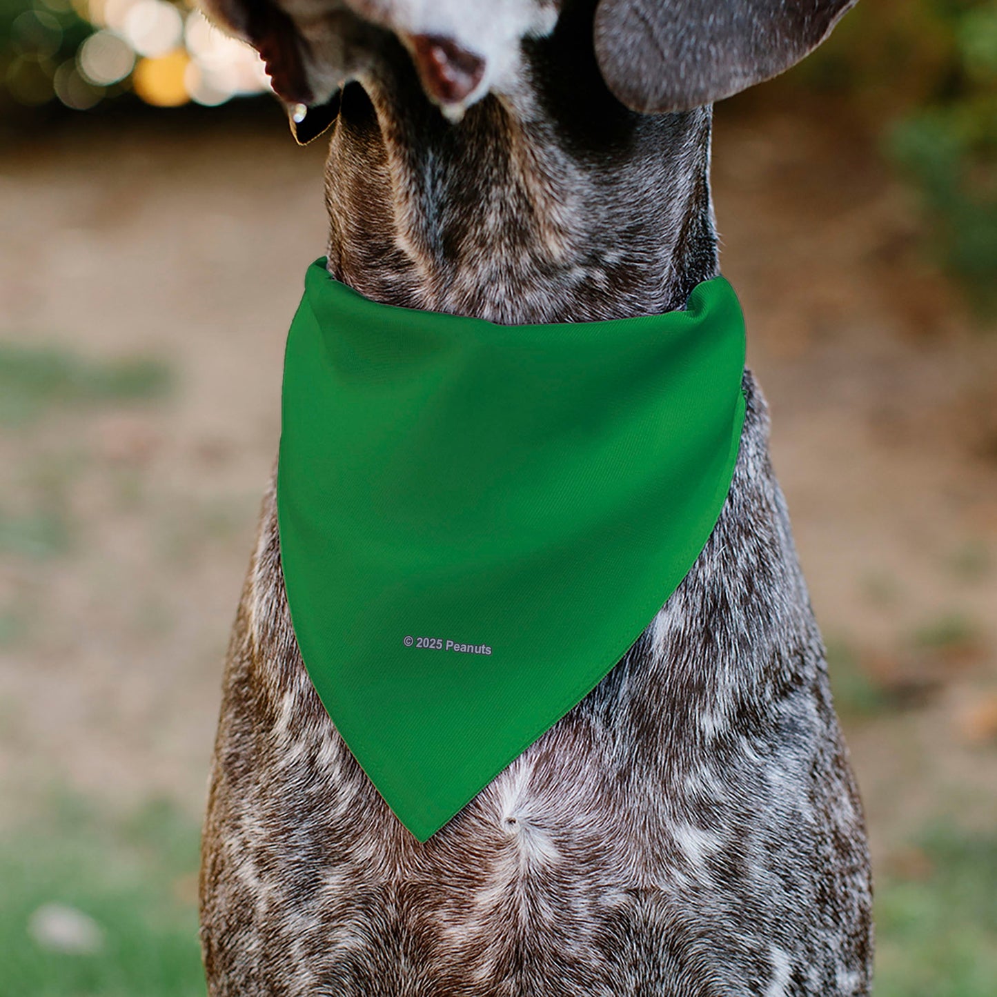 Pet Bandana - Peanuts Peppermint Patty Smiling Face Pose Green