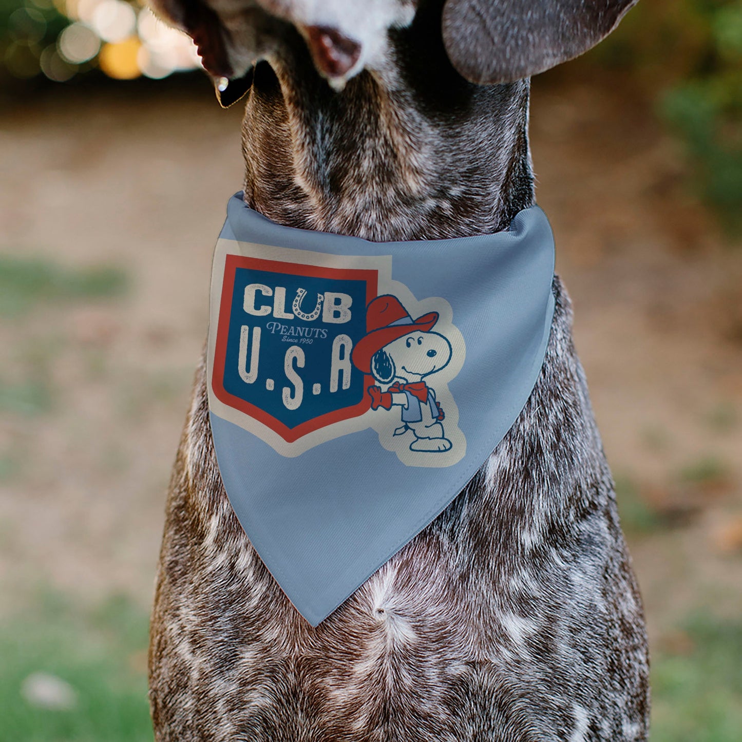 Pet Bandana - Peanuts Snoopy COWBOY USA Pose Light Blue/Red/White/Blue