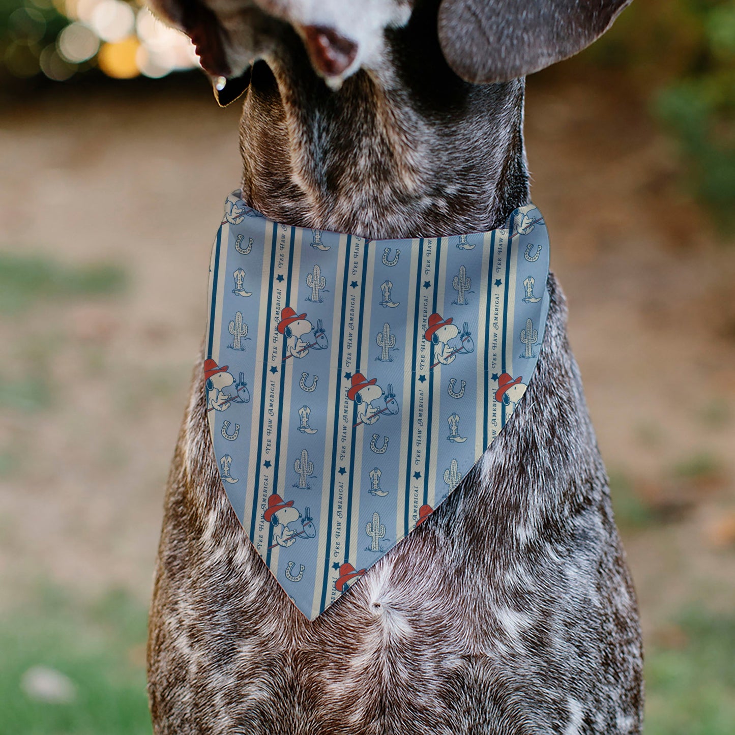 Pet Bandana - Peanuts Snoopy YEE HAW AMERICA Pose and Icons Ivory/Blues/Red