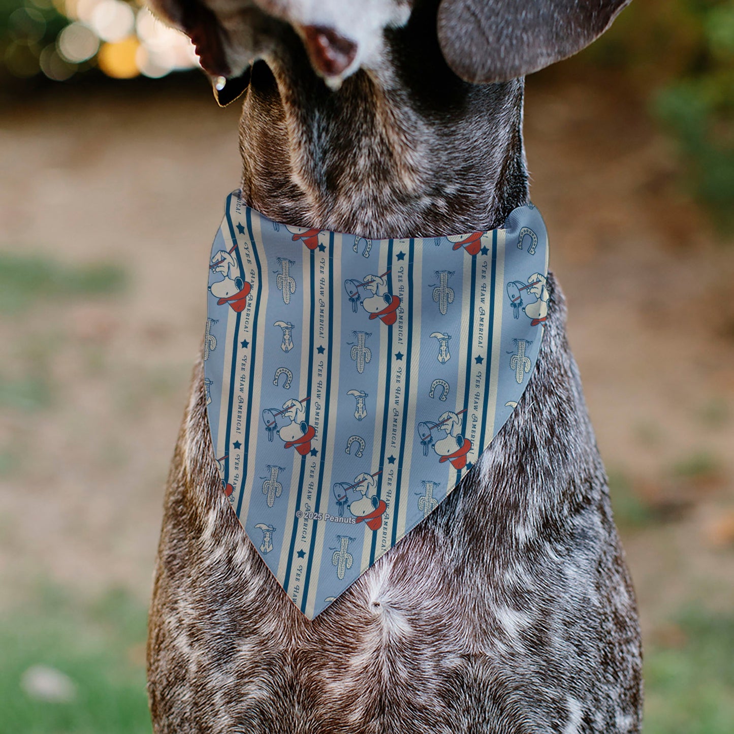 Pet Bandana - Peanuts Snoopy YEE HAW AMERICA Pose and Icons Ivory/Blues/Red