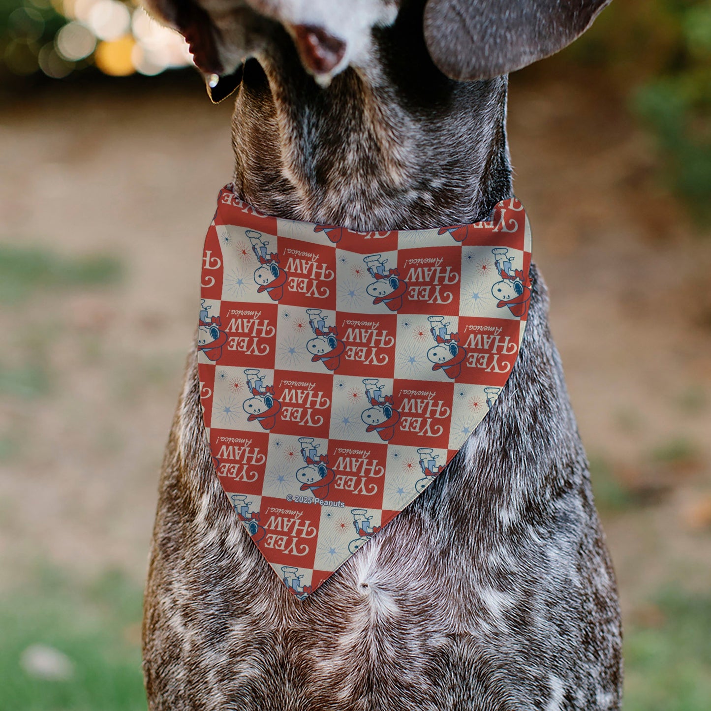 Pet Bandana - Peanuts Snoopy YEE HAW AMERICA Pose Checker Ivory/Red/Blues