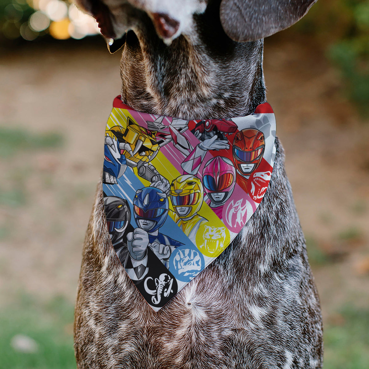 Pet Bandana - Power Rangers Pose and Zord Stripes Multi Color