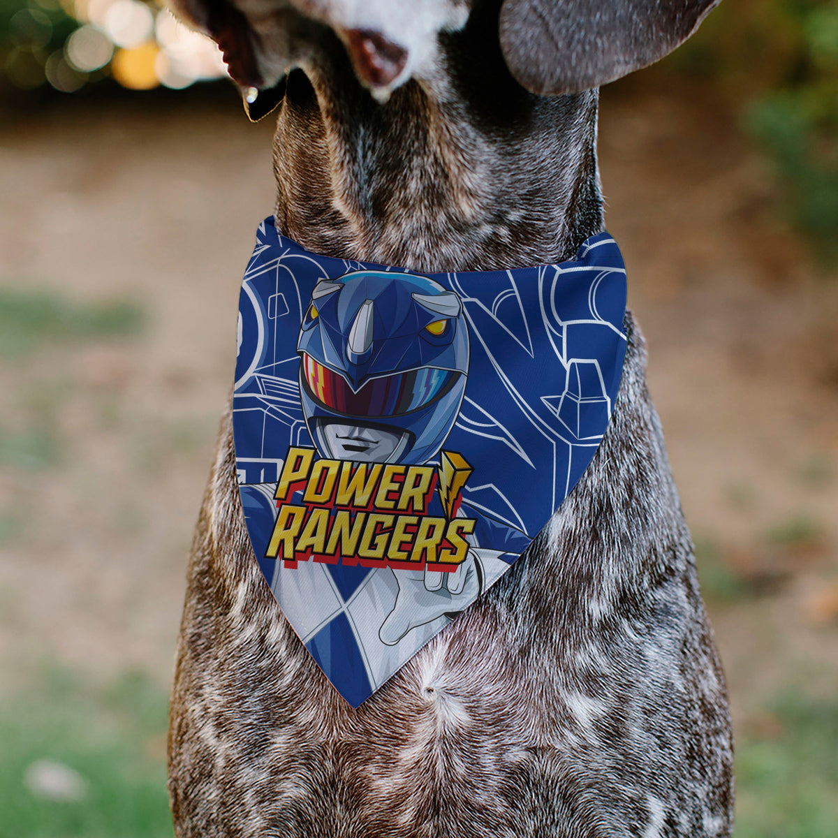 Pet Bandana - POWER RANGERS Blue Ranger Triceratops Coin Icon and Zord Blue/White