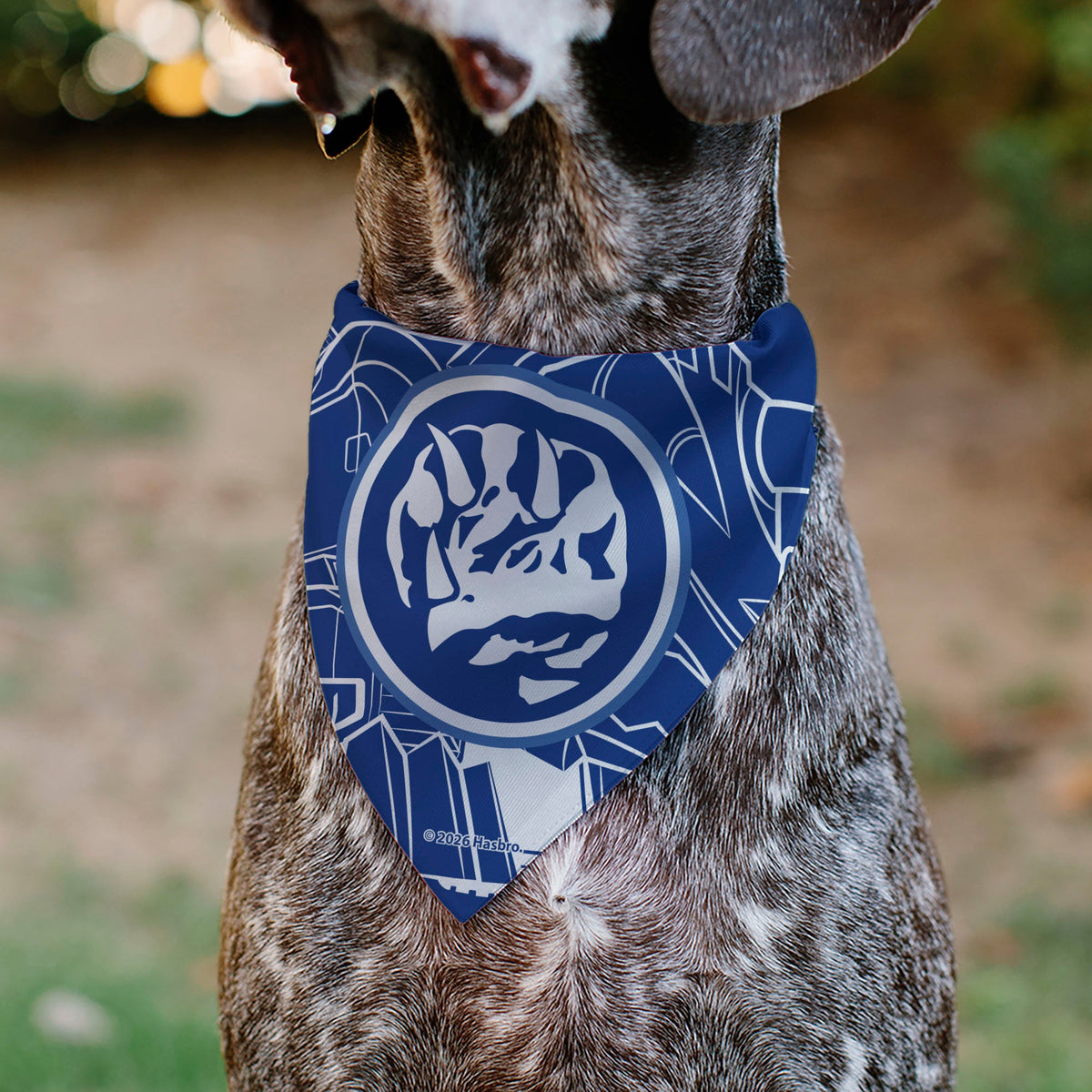 Pet Bandana - POWER RANGERS Blue Ranger Triceratops Coin Icon and Zord Blue/White