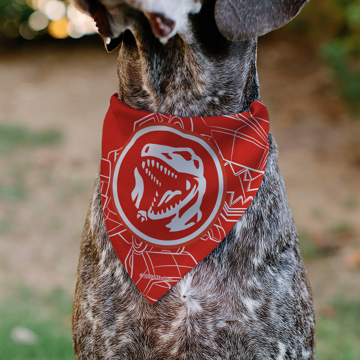 Pet Bandana - POWER RANGERS Red Ranger Tyrannosaurus Rex Coin Icon and Zord Red/White