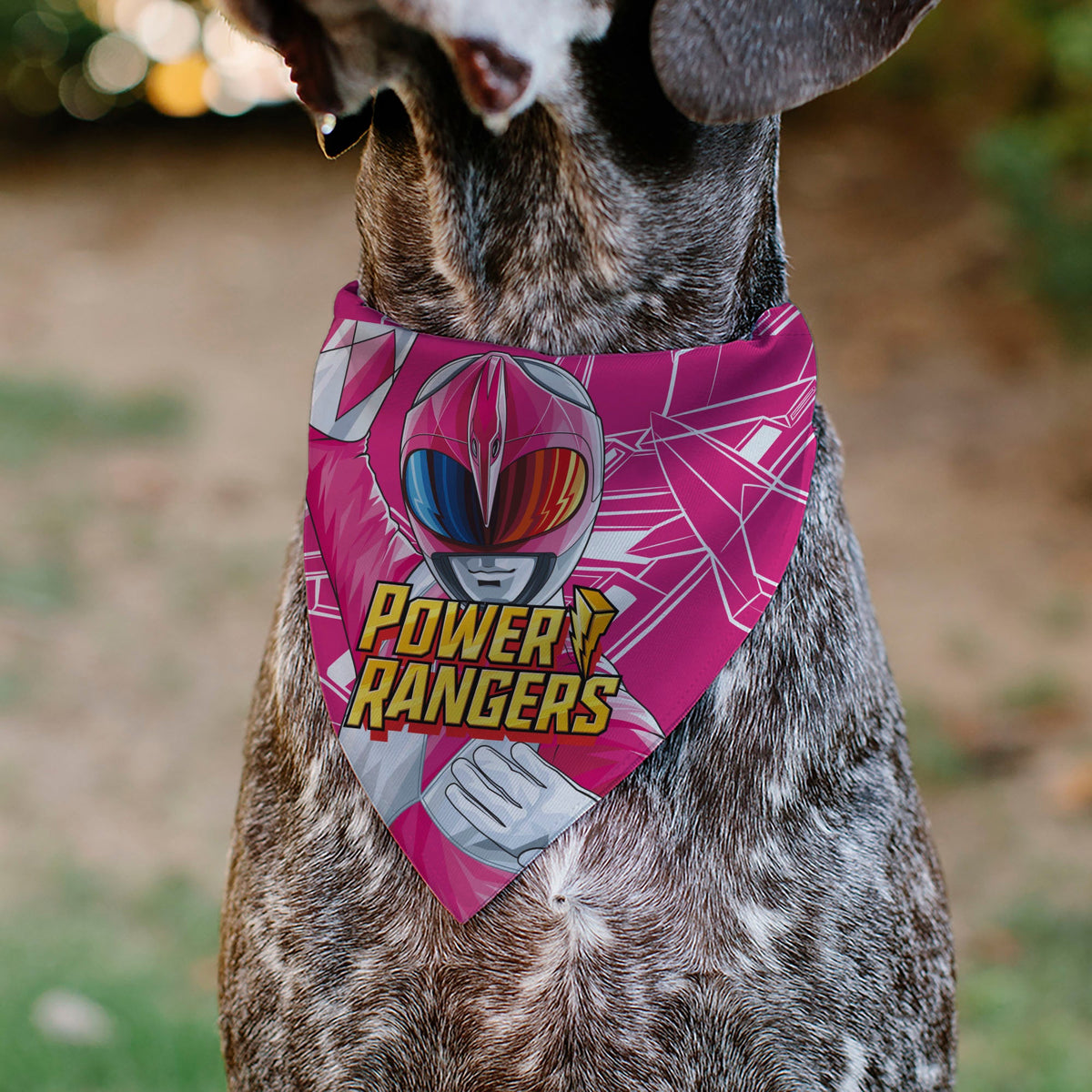 Pet Bandana - POWER RANGERS Pink Ranger Pterodactyl Coin Icon and Zord Pink/White
