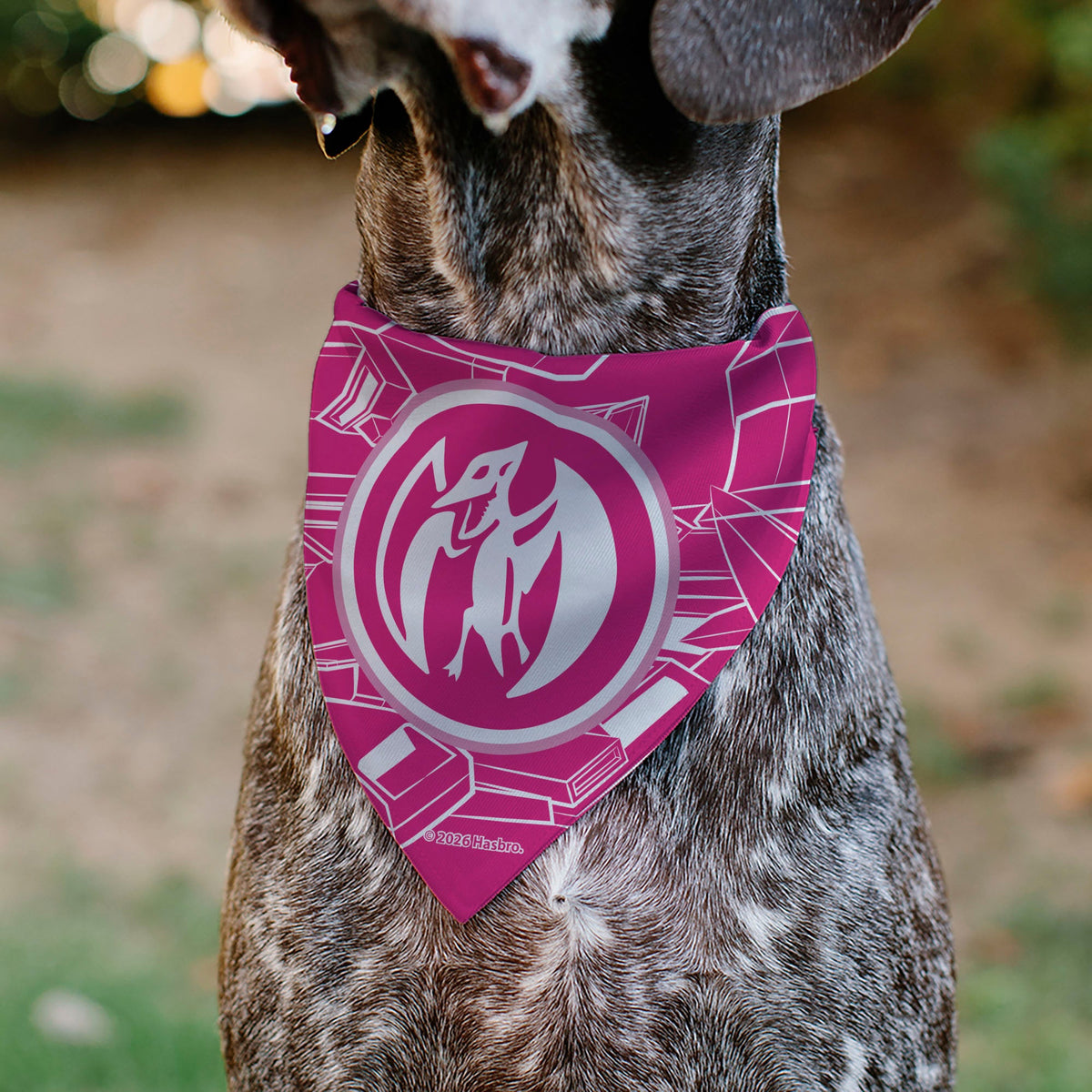 Pet Bandana - POWER RANGERS Pink Ranger Pterodactyl Coin Icon and Zord Pink/White