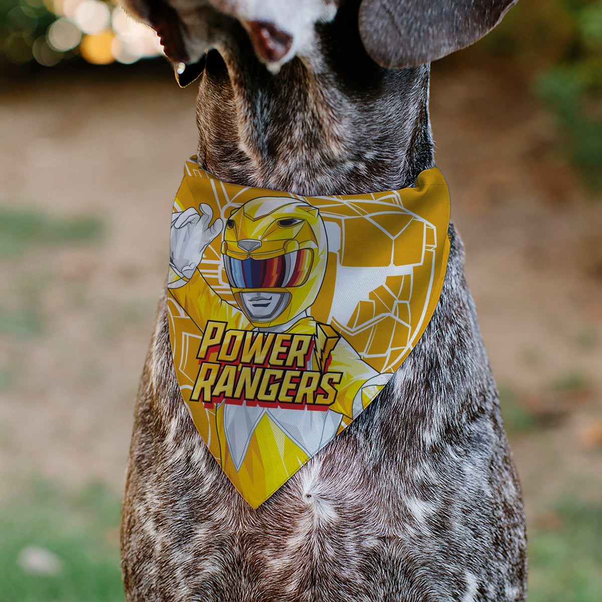 Pet Bandana - POWER RANGERS Yellow Ranger Sabertooth Tiger Coin Icon and Zord Yellow/White