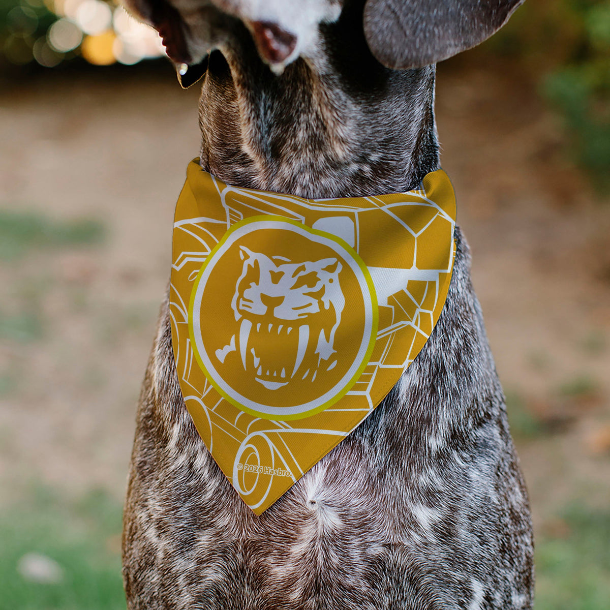 Pet Bandana - POWER RANGERS Yellow Ranger Sabertooth Tiger Coin Icon and Zord Yellow/White