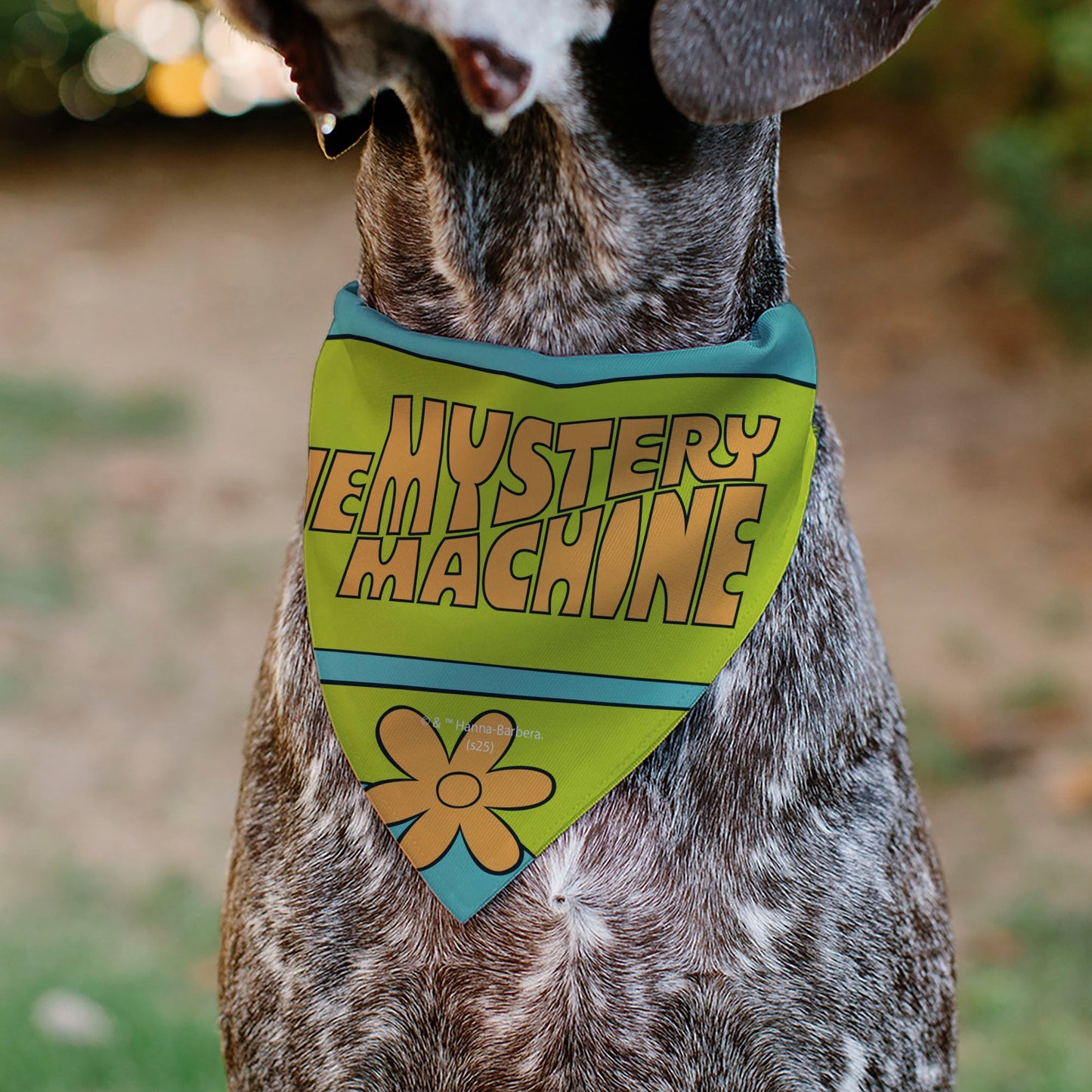 Pet Bandana - Scooby Doo THE MYSTERY MACHINE Logo Blues/Yellow/Orange