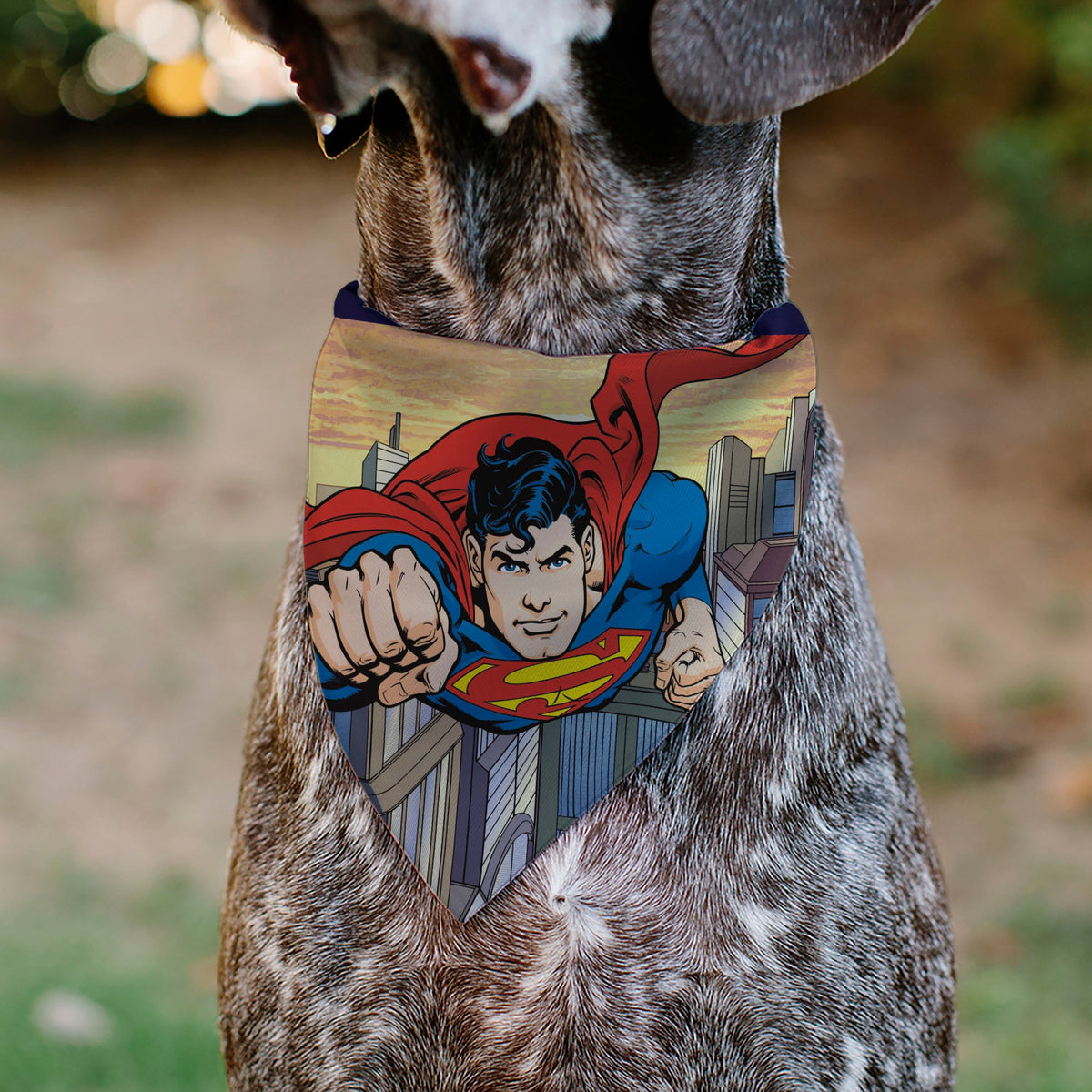 Pet Bandana - Superman Flying Action Cityscape Pose