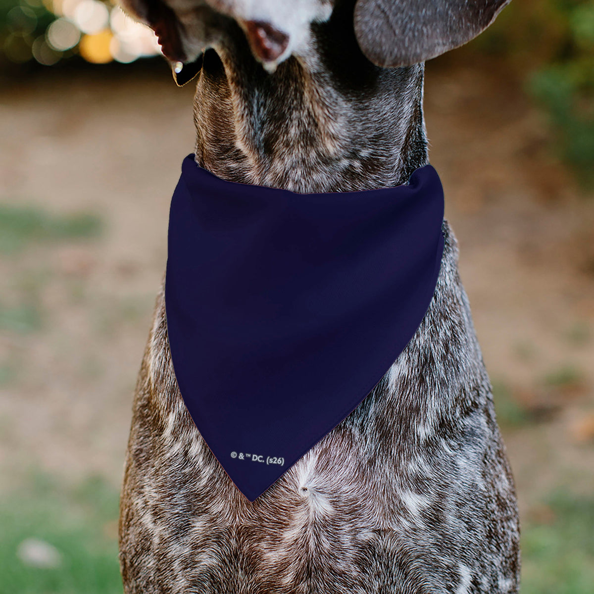 Pet Bandana - Superman Flying Action Cityscape Pose