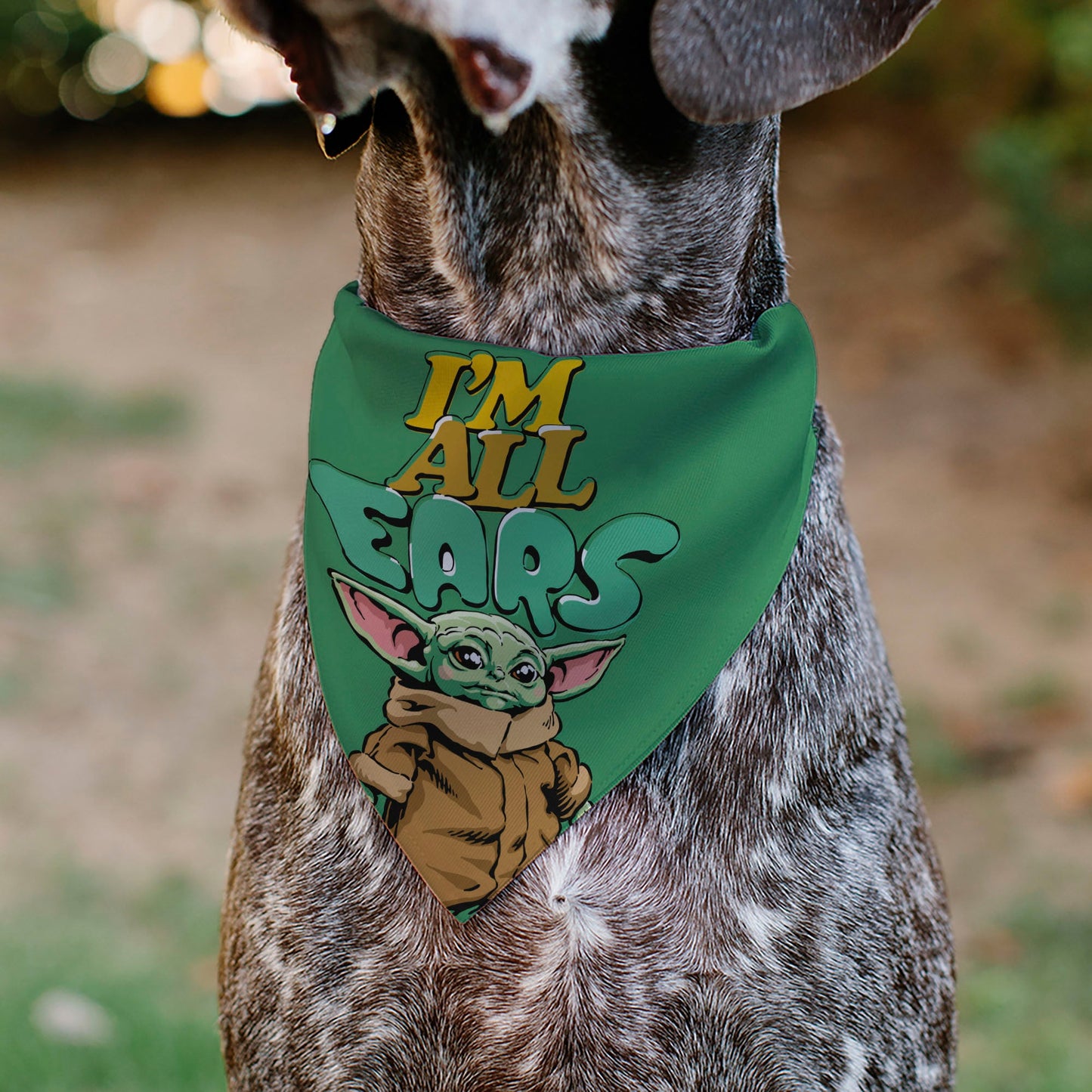 Pet Bandana - Star Wars Grogu I'M ALL EARS Pose Green