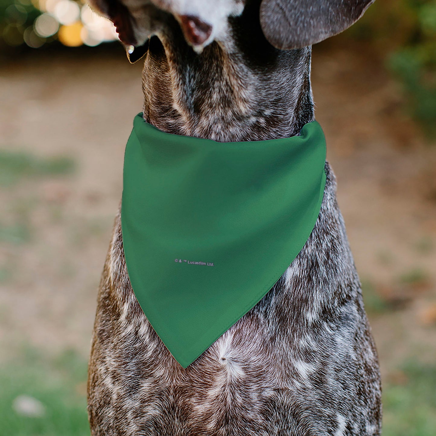 Pet Bandana - Star Wars Grogu I'M ALL EARS Pose Green