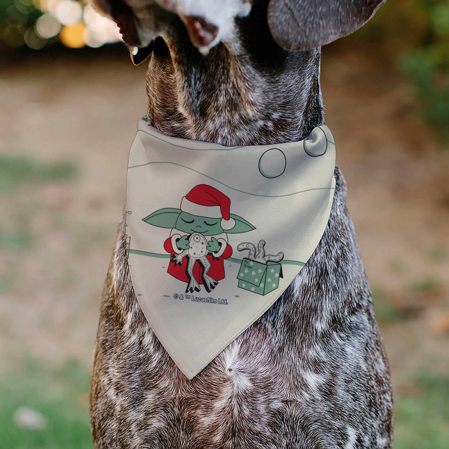Pet Bandana - Star Wars Holiday Grogu Baby Yoga Santa Claus Scenes