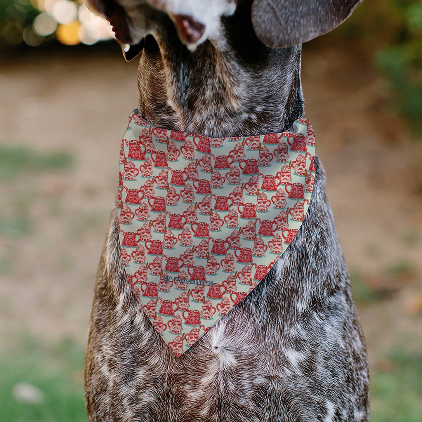 Pet Bandana - Star Wars Holiday HOT COCOA Quote Vader and Stormtrooper Mugs