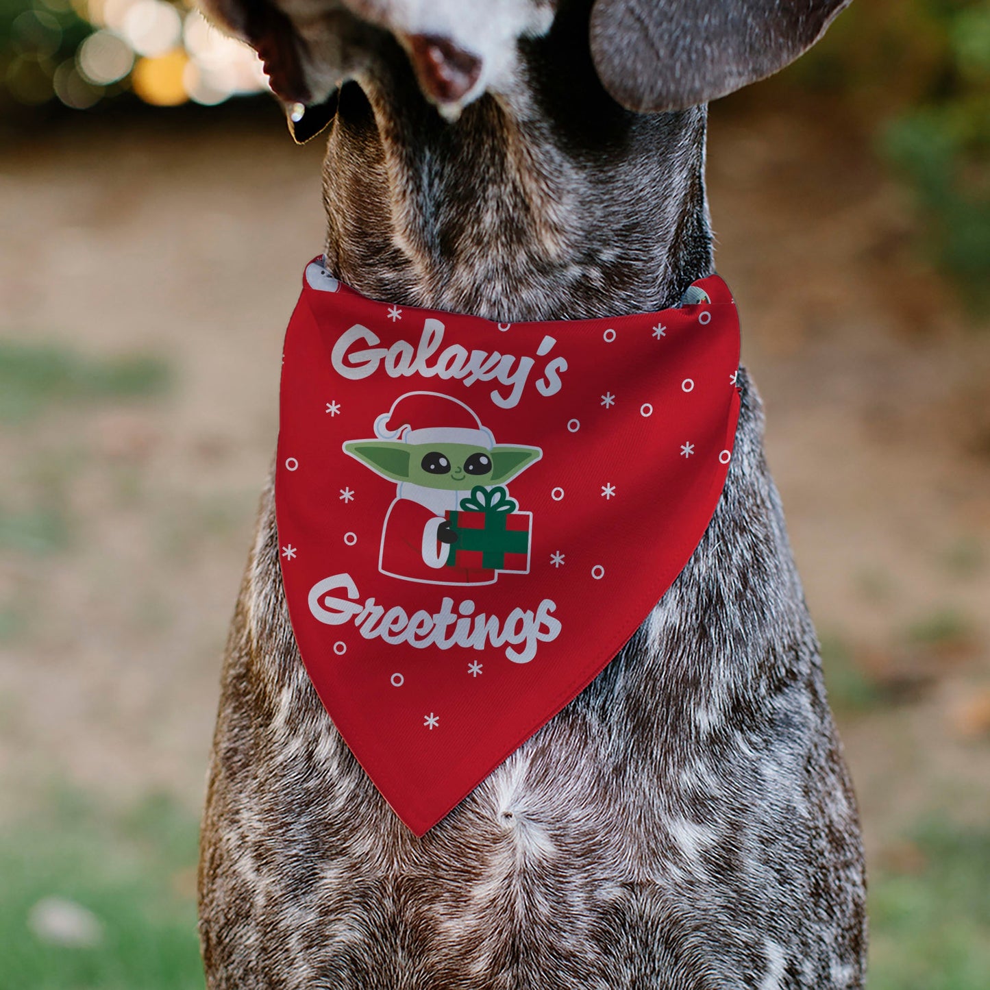 Pet Bandana - Star Wars Holiday Grogu Baby Yoga GALAXY GREETING'S Pose and Icons Red