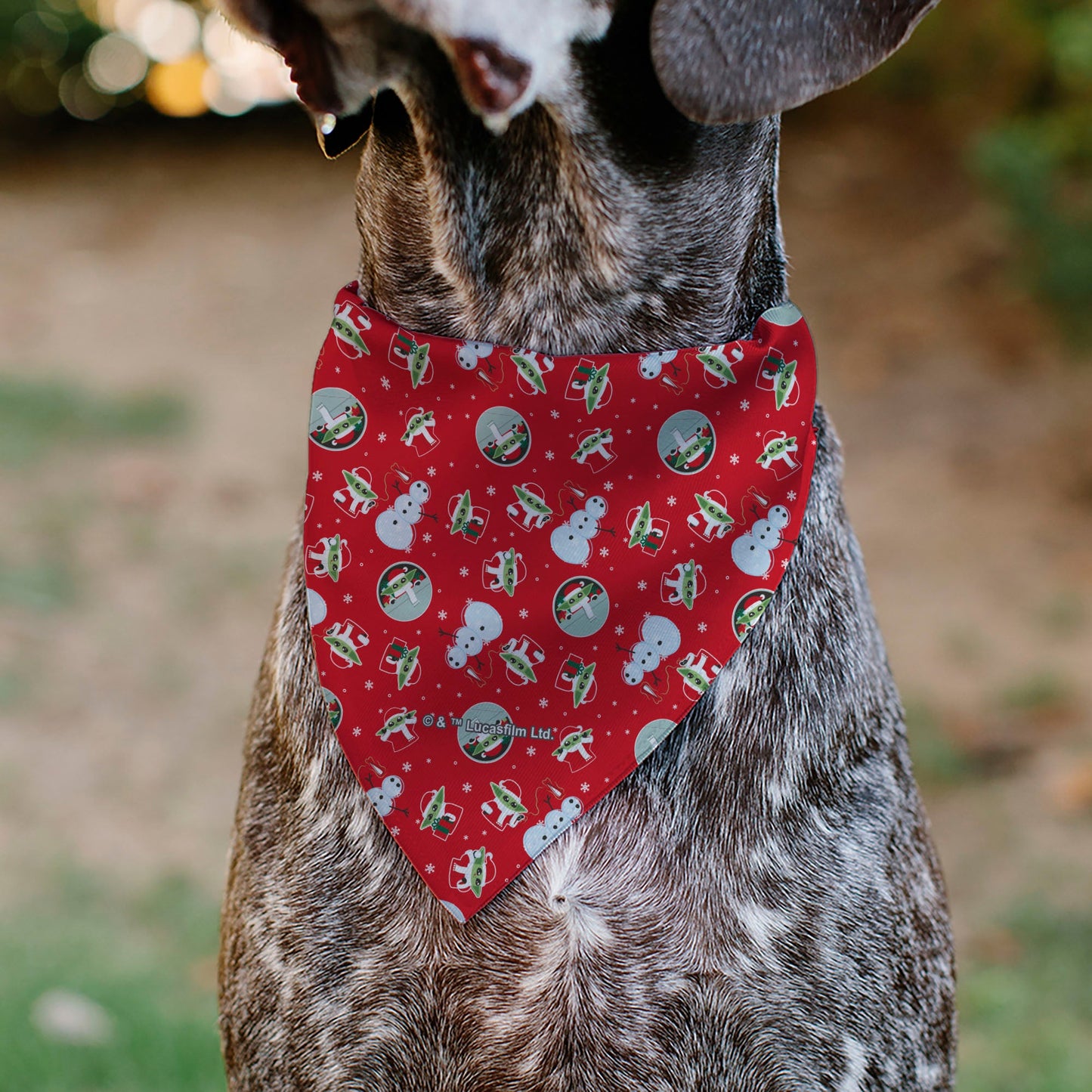 Pet Bandana - Star Wars Holiday Grogu Baby Yoga GALAXY GREETING'S Pose and Icons Red