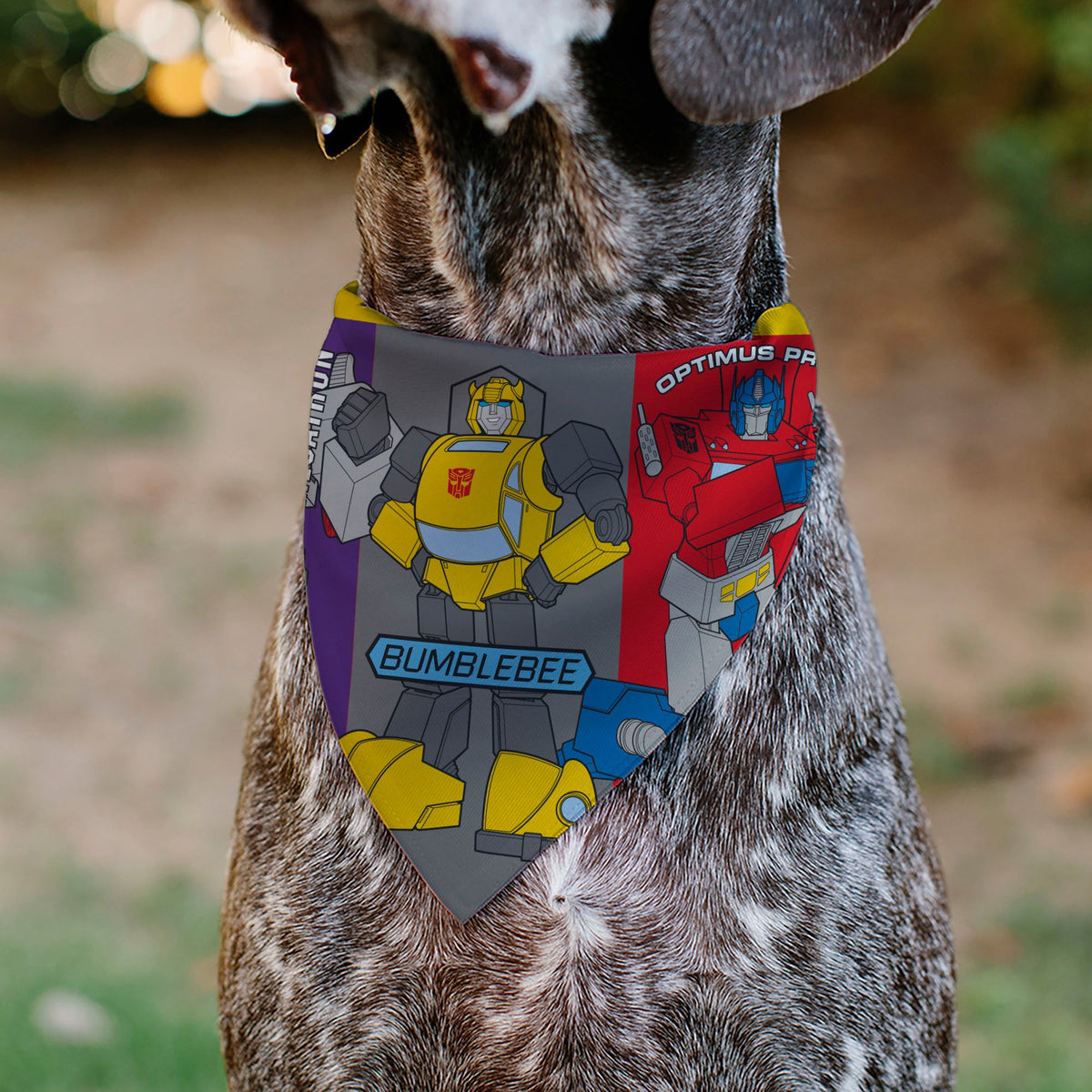 Pet Bandana - Transformers Three Character Pose Blocks Multi Color