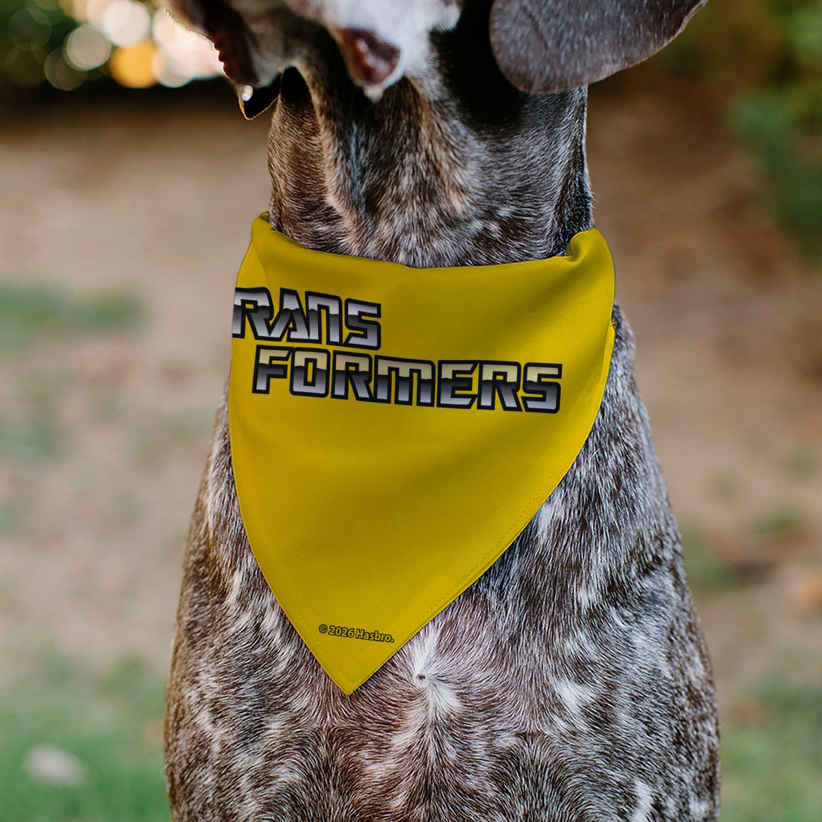 Pet Bandana - Transformers Three Character Pose Blocks Multi Color
