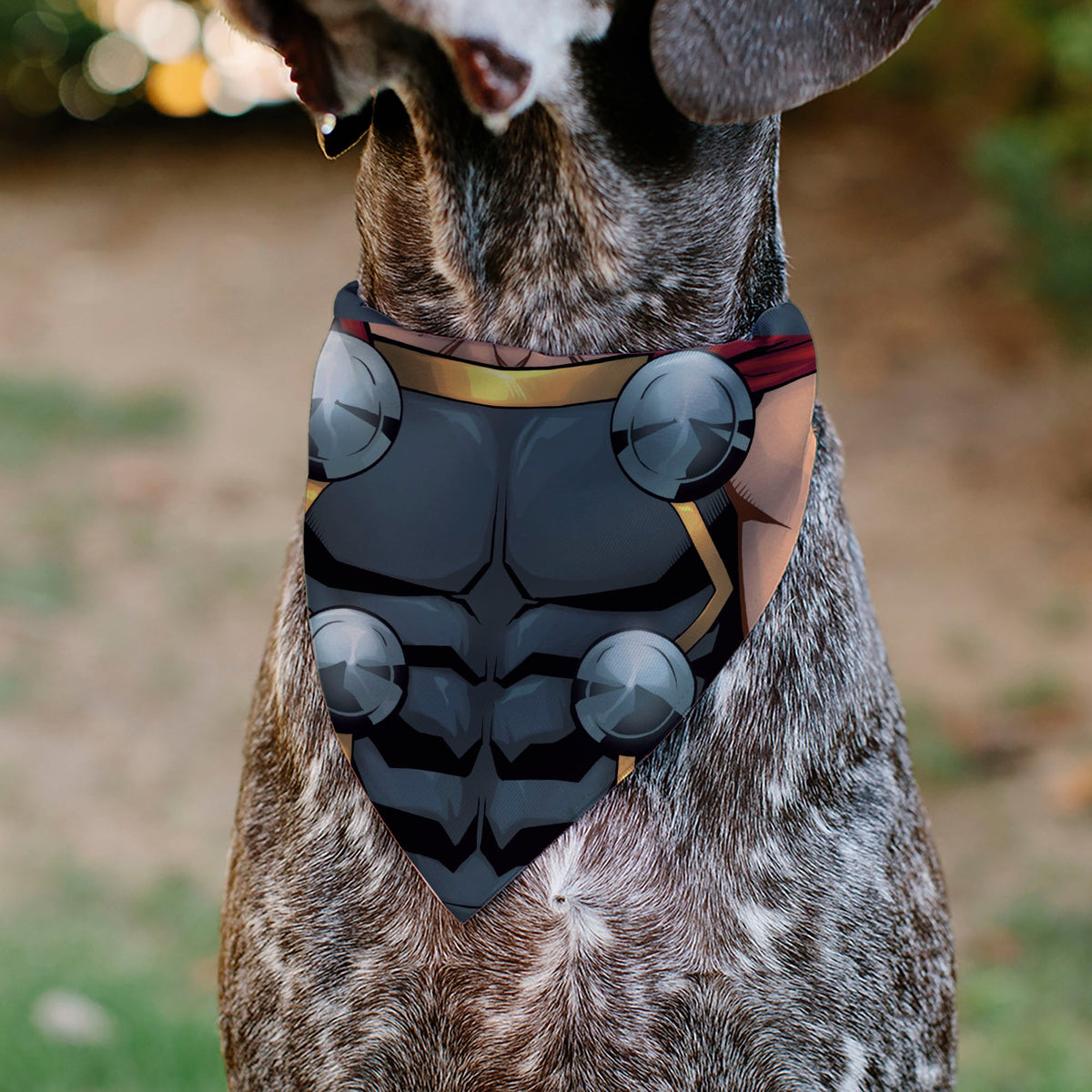 Pet Bandana - Thor Suit Chest Detail Grays