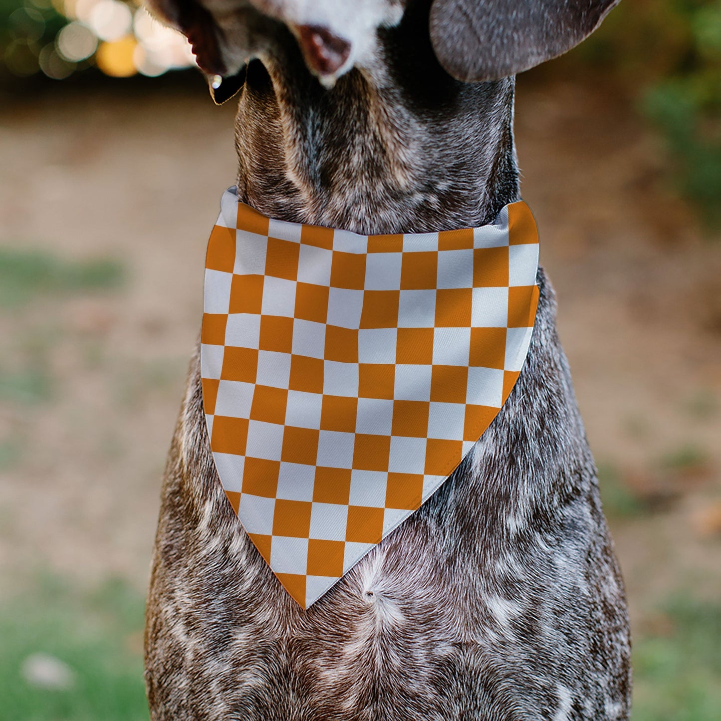 Pet Bandana - Checker White/TN Orange