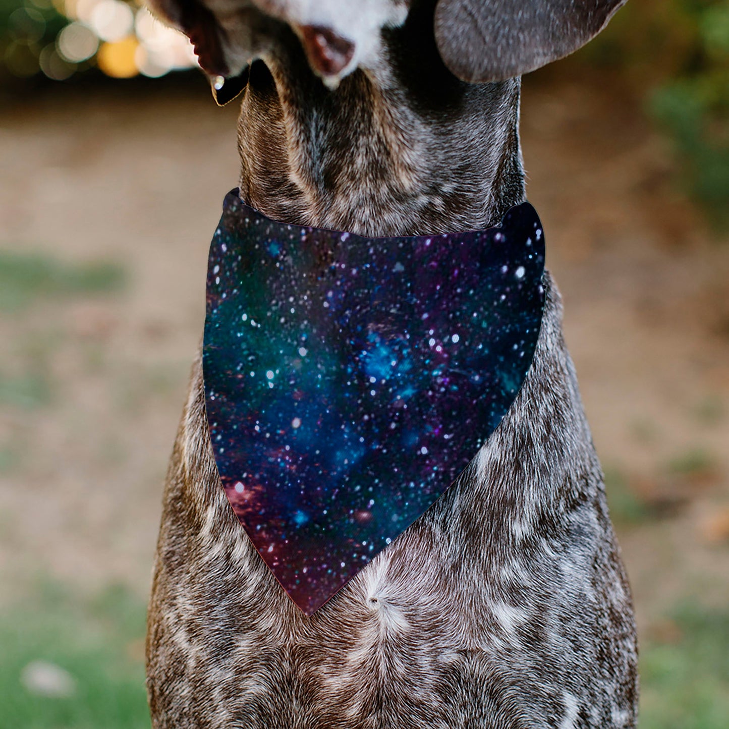 Pet Bandana - Galaxy Collage