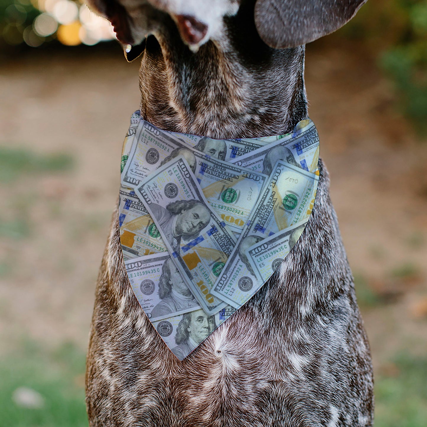 Pet Bandana - Vivid 100 Dollar Bills Stacked