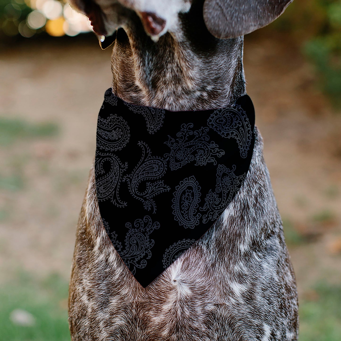 Pet Bandana - Bandana Black/Gray