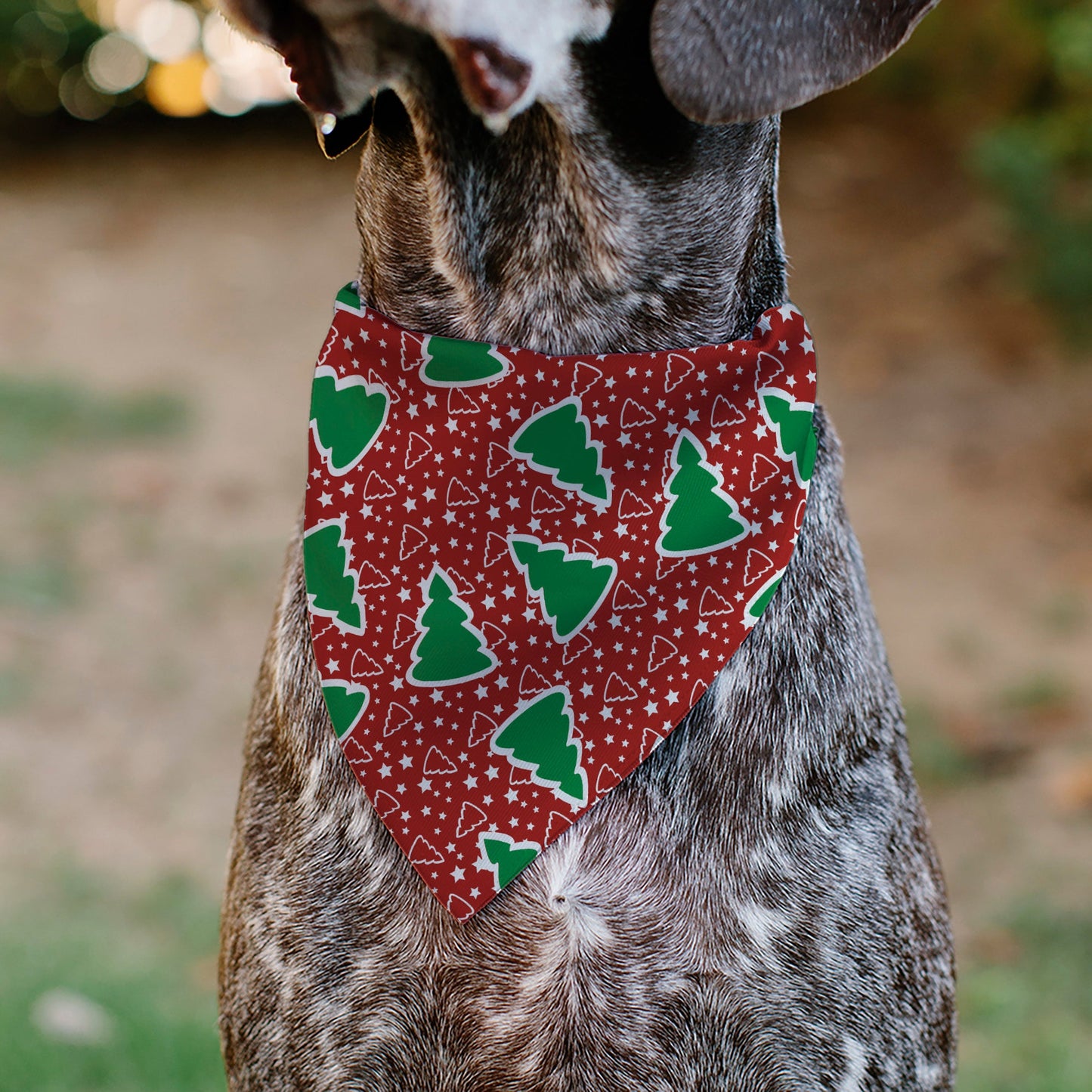 Pet Bandana - Christmas Trees/Stars Red/White/Green