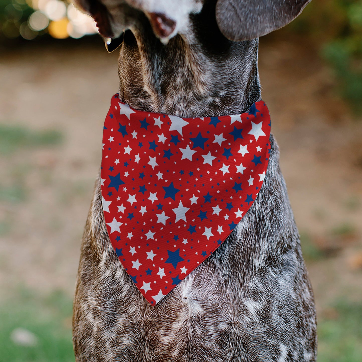 Pet Bandana - Americana Stars Scattered Red/White/Blue