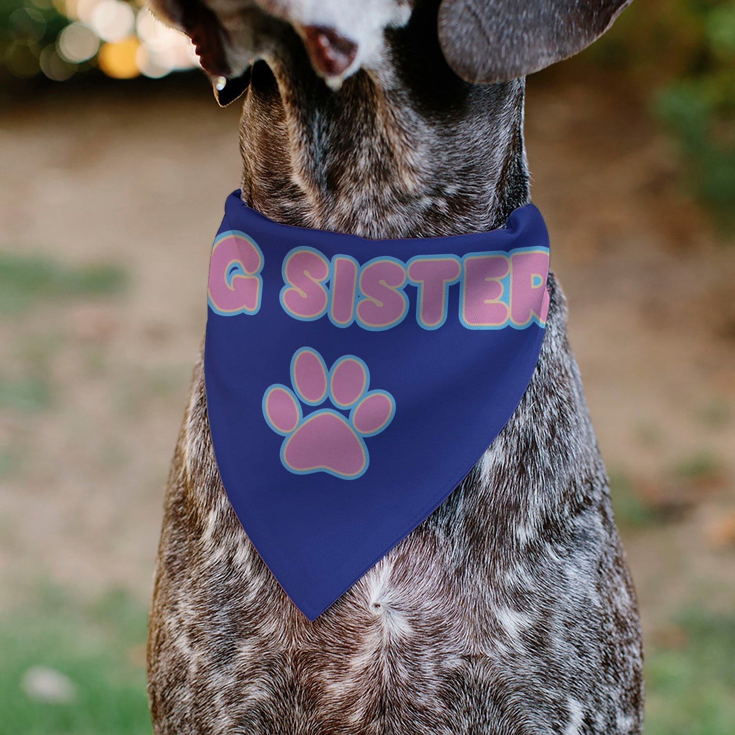 Pet Bandana - BIG SISTER Text and Paw Blues/Lavender