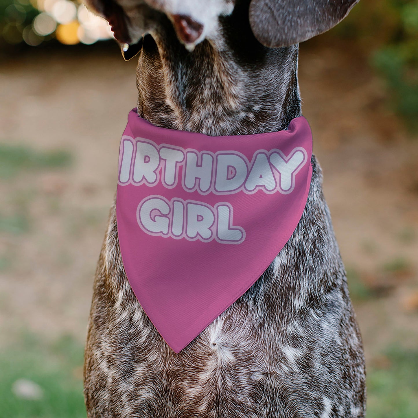 Pet Bandana - BIRTHDAY GIRL Text Pinks/White
